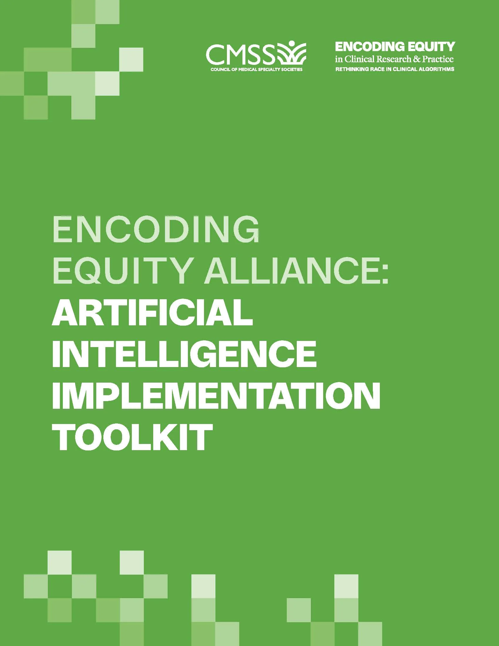 Artificial Intelligence Implementation Toolkit - Encoding Equity